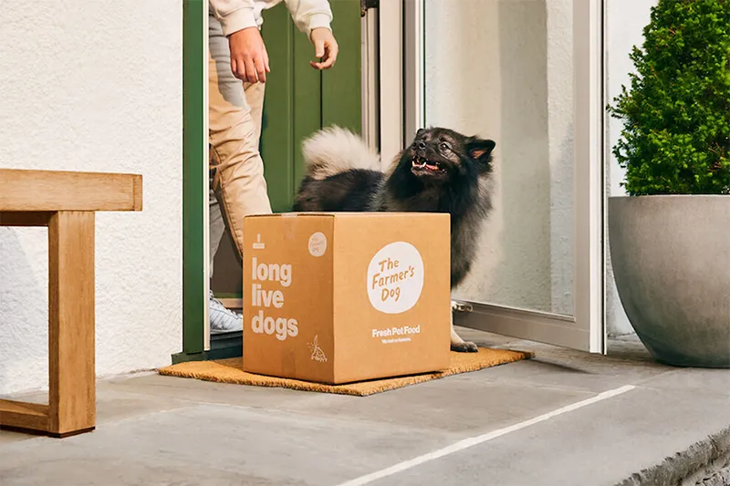 Scatole di cartone ondulato per abbonamento per animali domestici Unboxing viral-ready